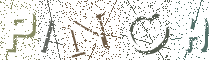 Type the Shadowed Word