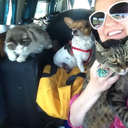 Julie Hassett with her dog and two cats.