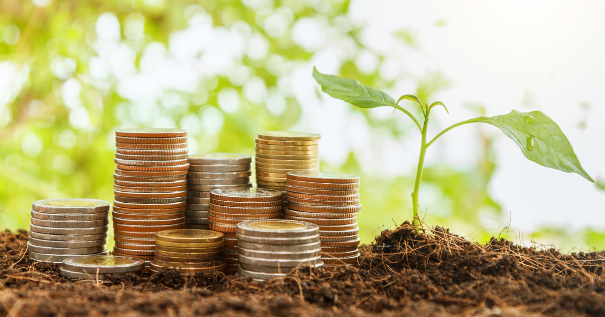 Stack of coins sitting on soil next to plant sprouting