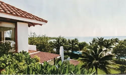 Dream view from balcony: palm trees, pool, and ocean