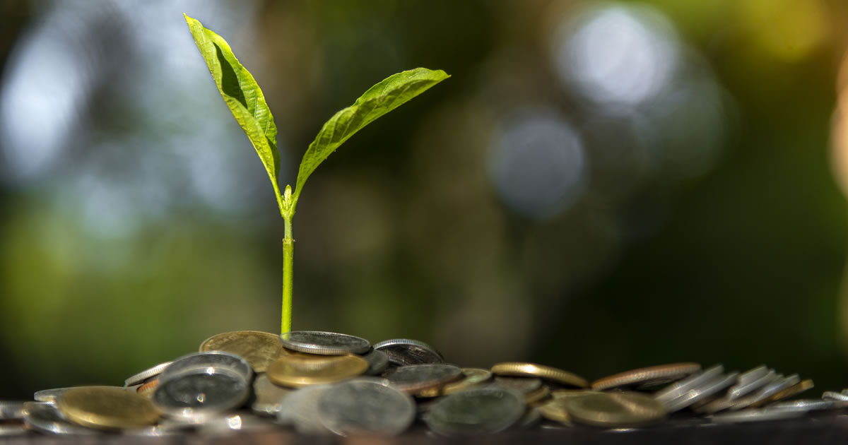 Trees with money; saving money and growing income
