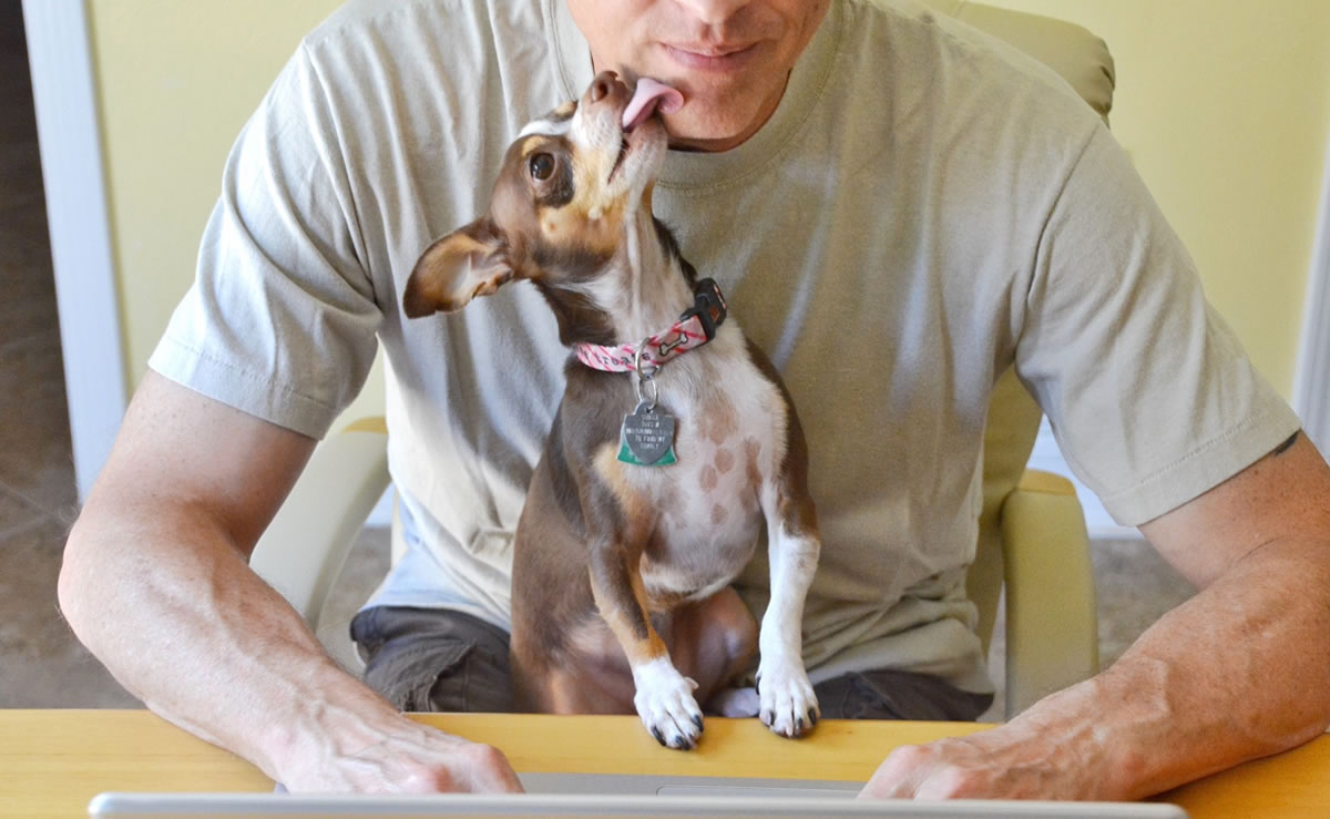 Male writer typing on laptop while a puppy dog licks his face