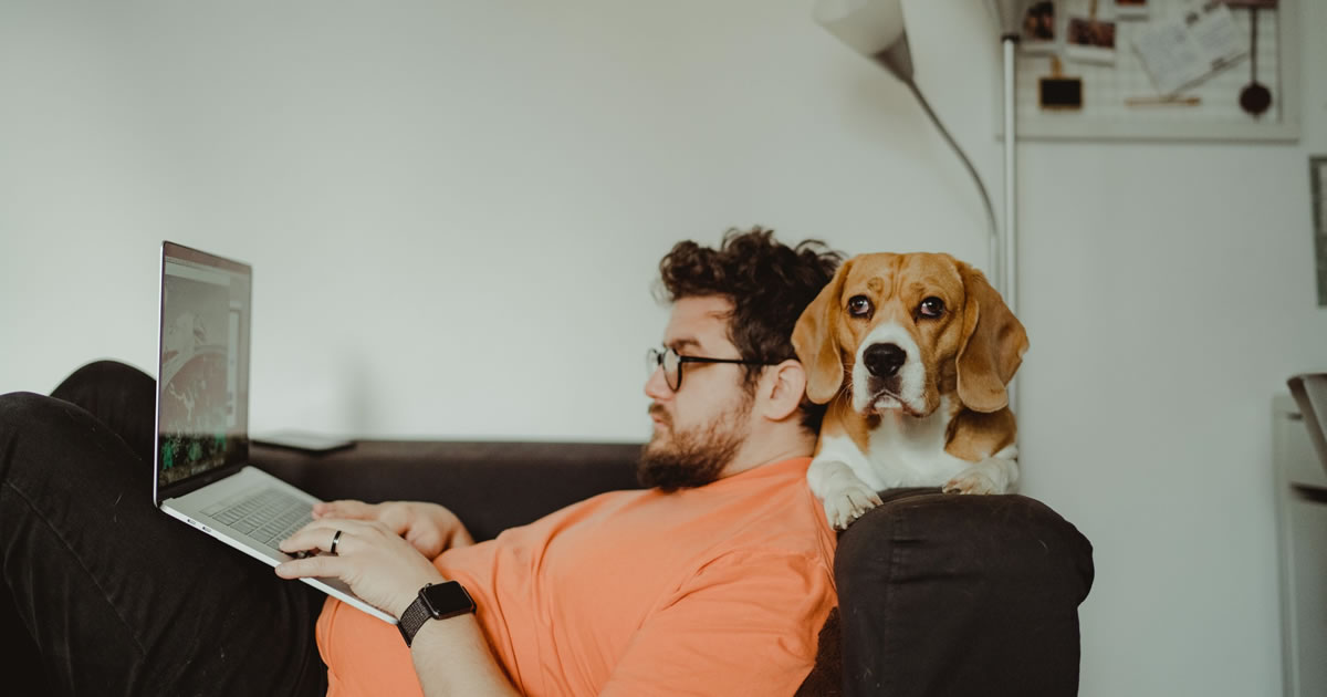 Homem fazendo streaming de um programa no laptop com um beagle sentado no braço do sofá atrás dele