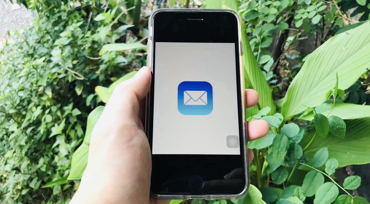 Outdoor closeup of person's hand in front of green plants holding smart phone with email icon on screen