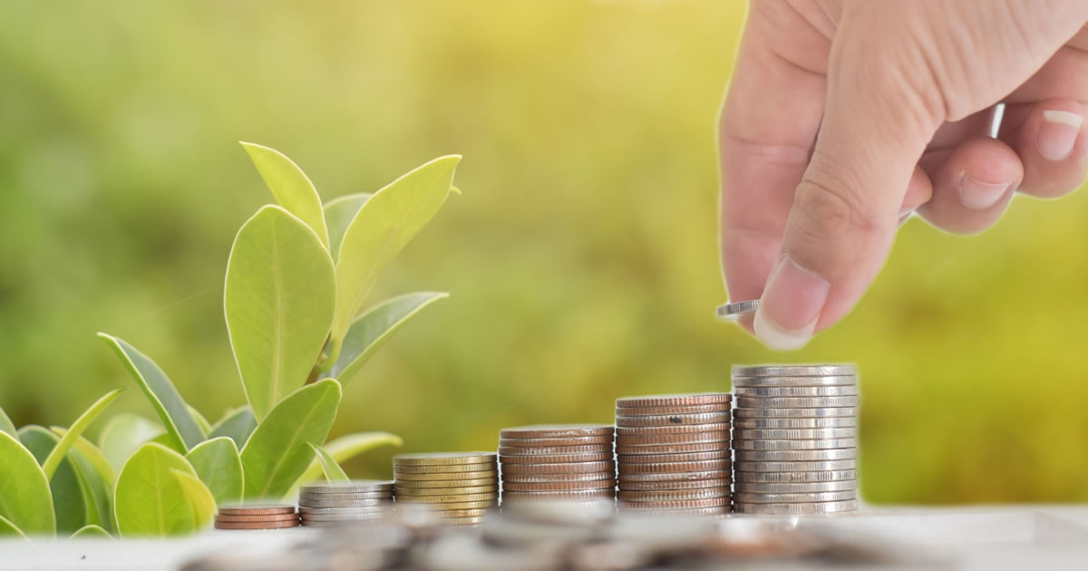 Closeup of hand stacking coins next to plants