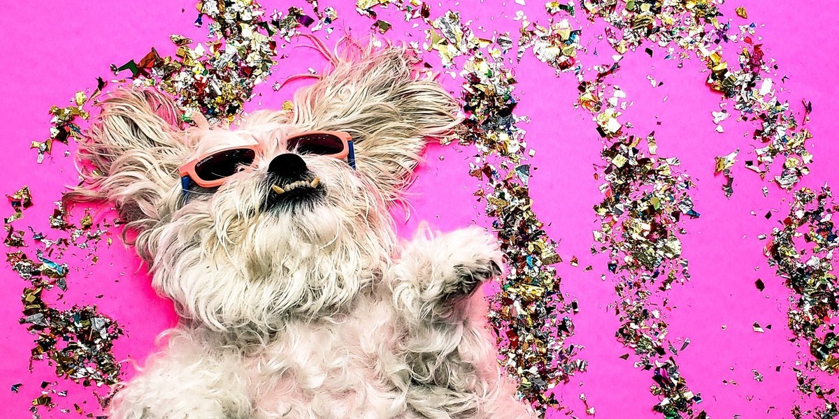 Puppy wearing sunglasses lying on pink background with confetti