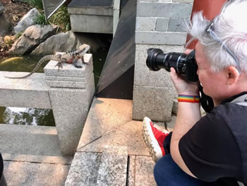 Writer Pauline Longdon photographs a water dragon