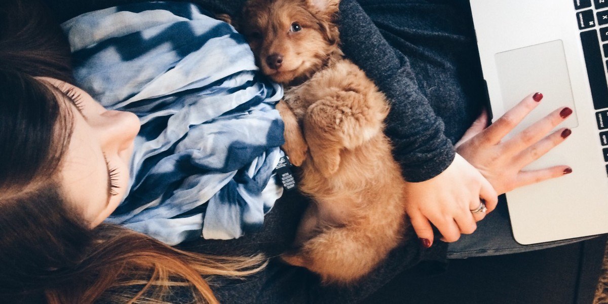 Puppy in woman's arms while she’s using laptop computer