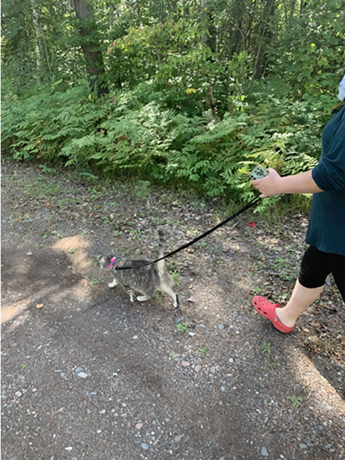 Writer Ashly Kimball walking cat down driveway and recording Instagram business tip on phone