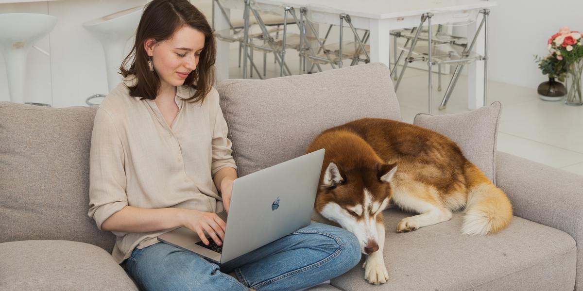 Young happy woman sitting on couch next to dog and typing on her laptop