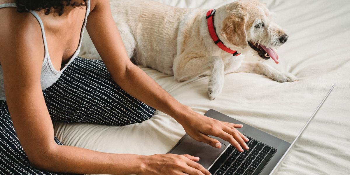 Woman sitting on bed and working on laptop next to a puppy