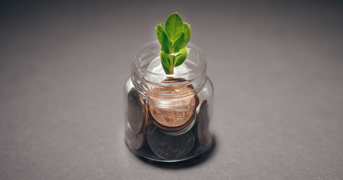 Image of plant with coins in a clear vase