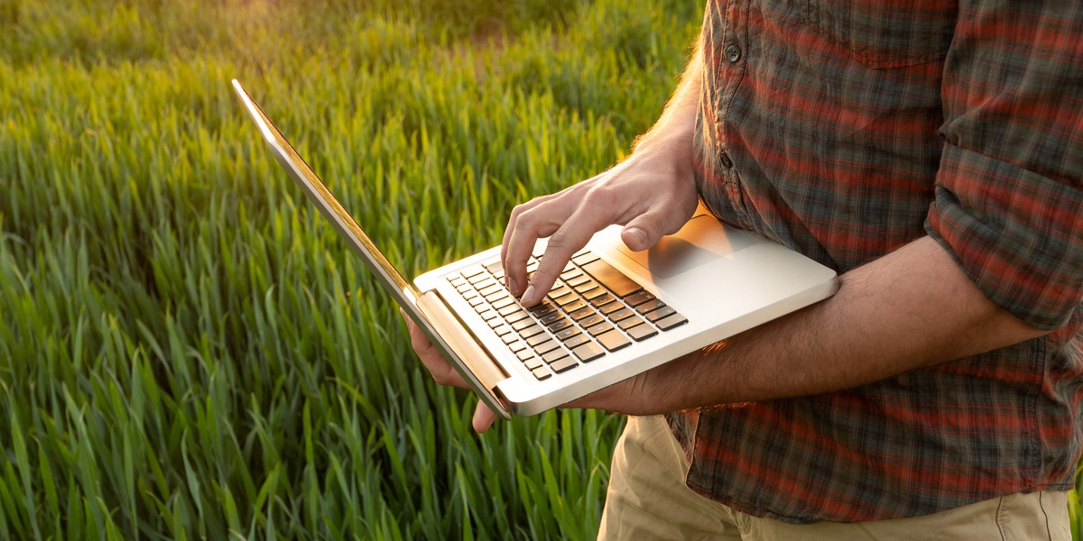 Jovem agricultor usando laptop caminhando no campo.