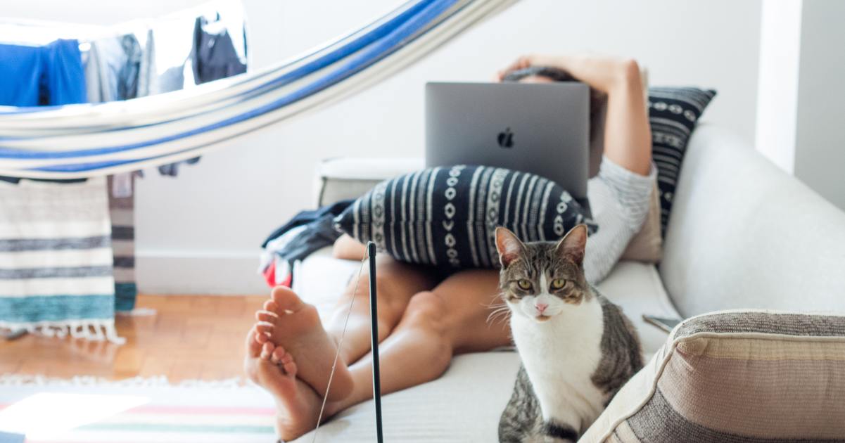 Woman typing on a laptop on a couch with a cat