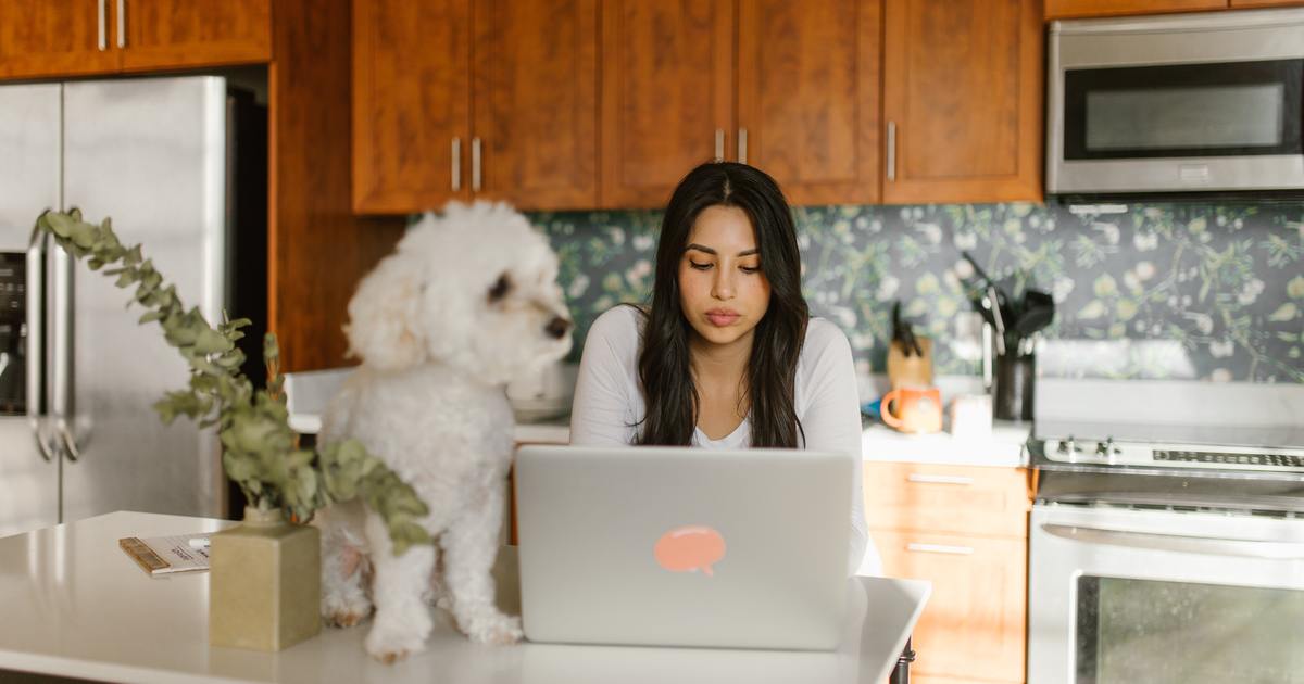 Writer typing on a laptop on kitchen island with dog