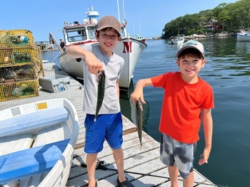 On a typical workday in Maine, Tom took the boys to a wharf near the family’s Airbnb to fish.