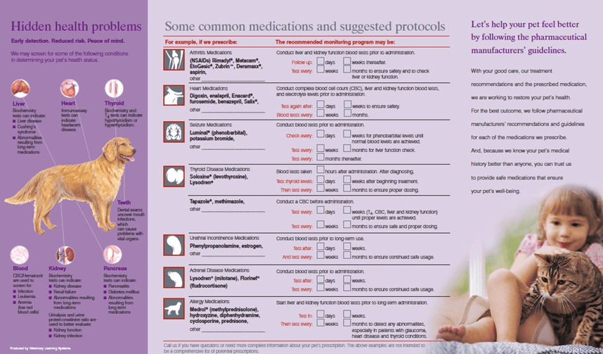 Brochure example (back side). Prescription medications for dogs brochure, including photos of dogs, owners, pill bottles, order device