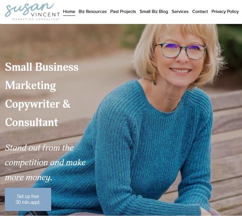 Screen shot of Susan Vincent’s freelance website