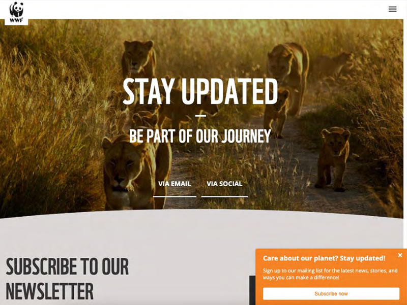 Screen shot of World Wildlife Fund’s e-newsletter sign up page