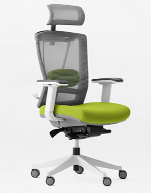 ergonomic office chair with lime green seat