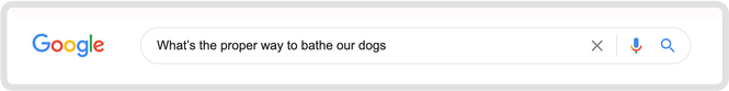 Pet Bathing Google Search Screenshot