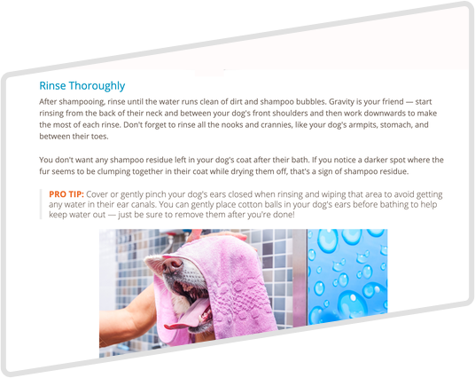 Pet Bathing Blog Screenshot 4