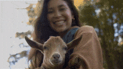 Naadam Goat Video