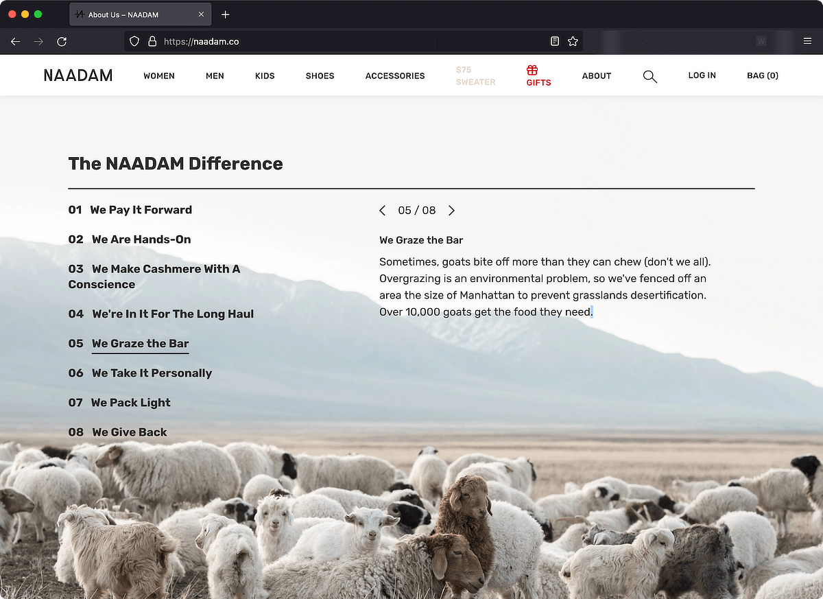 Naadam Website